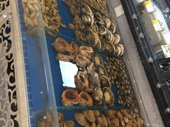 -喜来酌海鲜·饺子(和平一店)