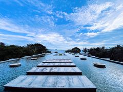 -采粤轩中餐厅(惠州金海湾喜来登度假酒店)