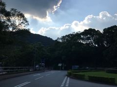 -大埔公路-马料水段香港中文大学(公交站)