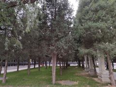 -赵州桥景区