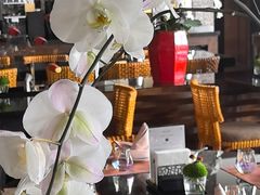 -时光吧·大堂吧·丽江和府洲际度假酒店
