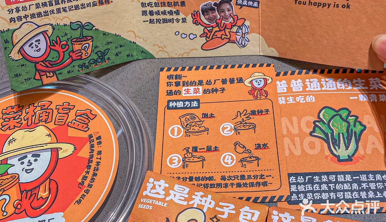 植树节点菜送盲盒--体验了人生第一次种菜