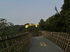 -福道