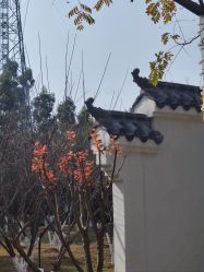 -福州儿童公园