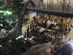 -湖南省地质博物馆