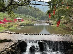 -广州市石门国家森林公园
