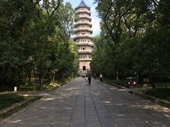 -灵谷景区