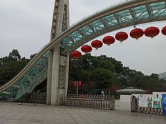 -南山植物园