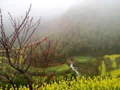-灵山景区梯田