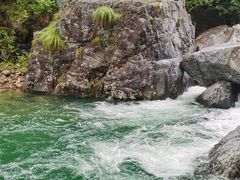 -石台牯牛降景区