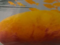 -北京长白山国际酒店(鸟巢店)