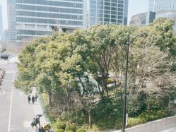-上海首尔丽格医疗美容医院