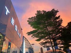 -TESLA 特斯拉(广州天环广场体验店)