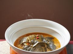 红煨甲鱼-喜湘宴·精致湖南菜(和平西桥店)