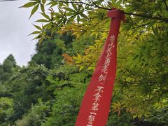 -娄山关景区