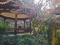 -杭州黄龙洞