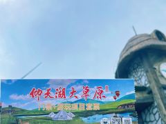 -仰天湖大草原
