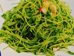 清炒豌豆苗-老家信阳菜(北京路店)