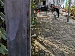 -姥家大锅台水库渔家