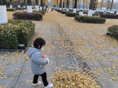 -百林公园-两江幸福广场