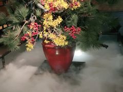 -湊湊火锅·茶憩(和平大悦城店)
