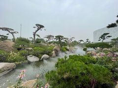 -罗红摄影艺术馆