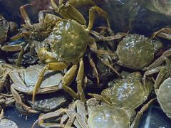 -聚盛源蒸汽海鲜火锅烤肉自助(巨川金海岸购物广场店)