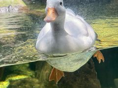 -合肥海洋世界