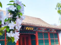 -海棠花溪(元大都城垣遗址公园)