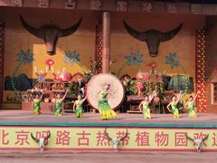 -呀路古热带植物园