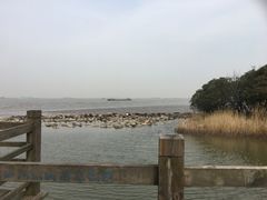 -吴淞炮台湾湿地森林公园烧烤区