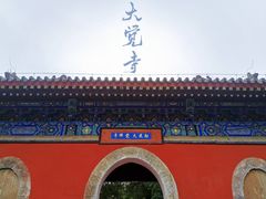 -大觉寺-停车场