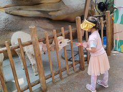 -杭州开元森泊度假乐园