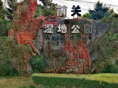 -前关湿地公园