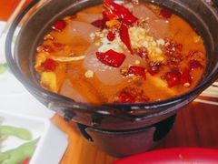 -唐力九头鸟烧烤·罗田吊锅(西云楼店)