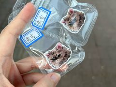 -平行世界·猫咖(首经贸店)