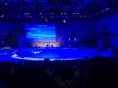 -华夏文旅海洋公园