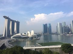 -新加坡丽思卡尔顿美年酒店
