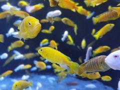 -成都浩海立方海洋公园