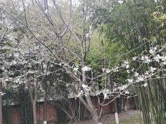 -堤角公园