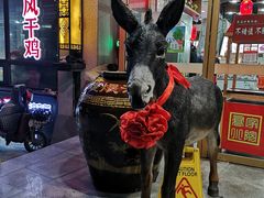 -乔家小院•本地小海鲜•非遗驴肉(万年泉路店)