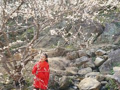 -广州市流溪河国家森林公园