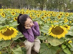-汉长安城未央宫国家考古遗址公园