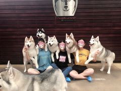 -TrueLove @ Neverland (Husky Cafe)