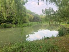 -昆山城市生态森林公园