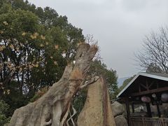 -宝岩生态观光园