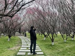 -南湖湿地公园