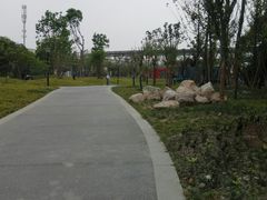 -神仙树公园