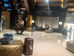 -三亚湾海居铂尔曼度假酒店