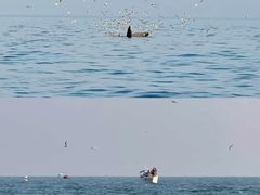 -涠洲岛南湾海洋运动公园